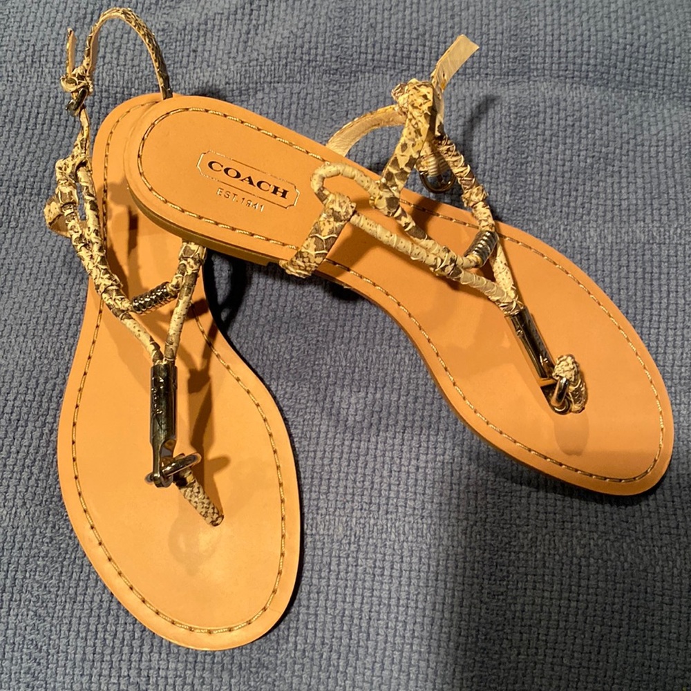 Brand new snake skin Coach sandals